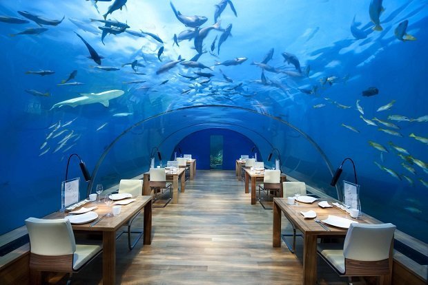 food experience design 