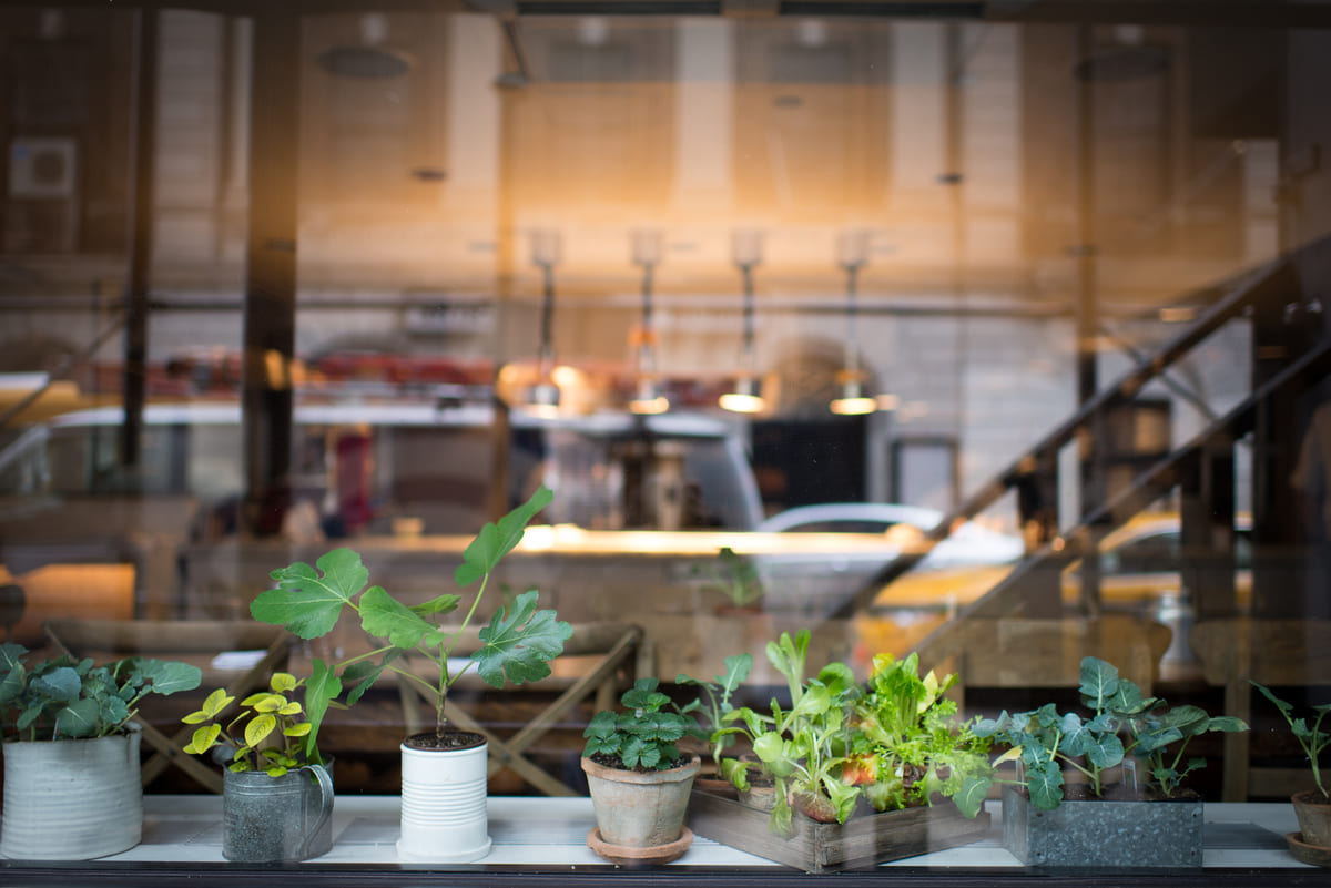 Sostenibilidad en F&B